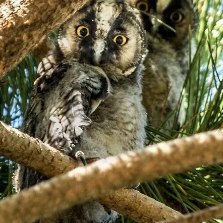 Gasthuis Mas Sainte Marie ,piscine Chauffee 4*