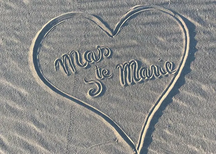 Mas Sainte Marie ,piscine Chauffée 4* Aigues-Mortes